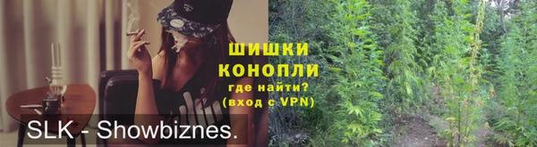 ПСИЛОЦИБИНОВЫЕ ГРИБЫ Балабаново