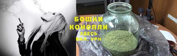 ПСИЛОЦИБИНОВЫЕ ГРИБЫ Балабаново