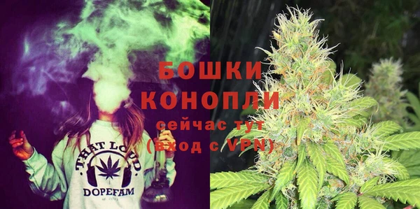 ПСИЛОЦИБИНОВЫЕ ГРИБЫ Балабаново