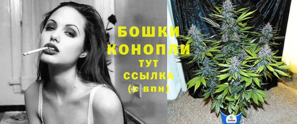ПСИЛОЦИБИНОВЫЕ ГРИБЫ Балабаново