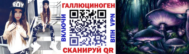 Псилоцибиновые грибы GOLDEN TEACHER  закладки  Петров Вал 